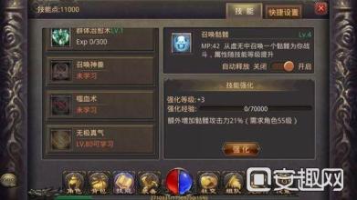 盛大传奇十周年客服端